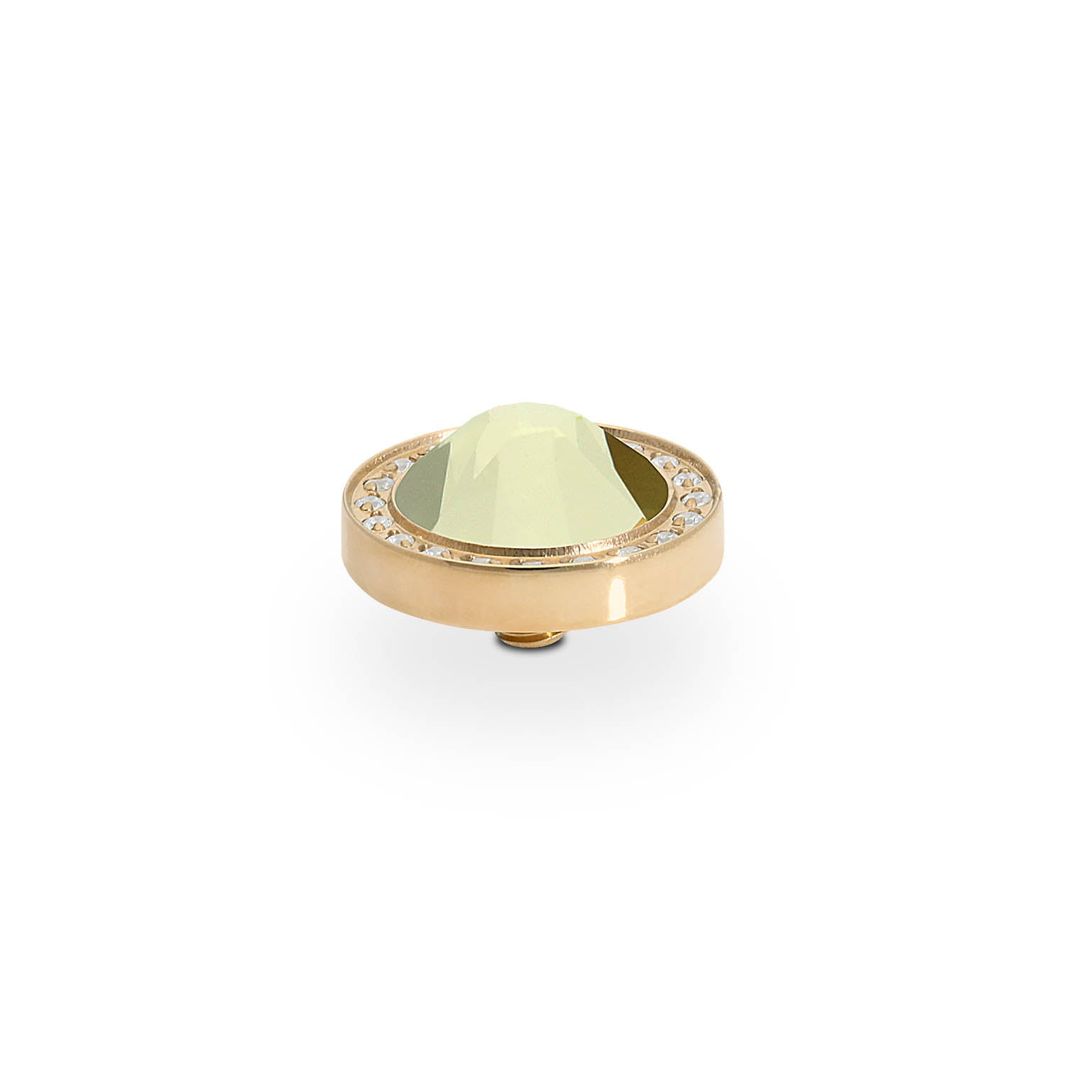 Canino Deluxe Top 10.5 mm - Gold Jonquil