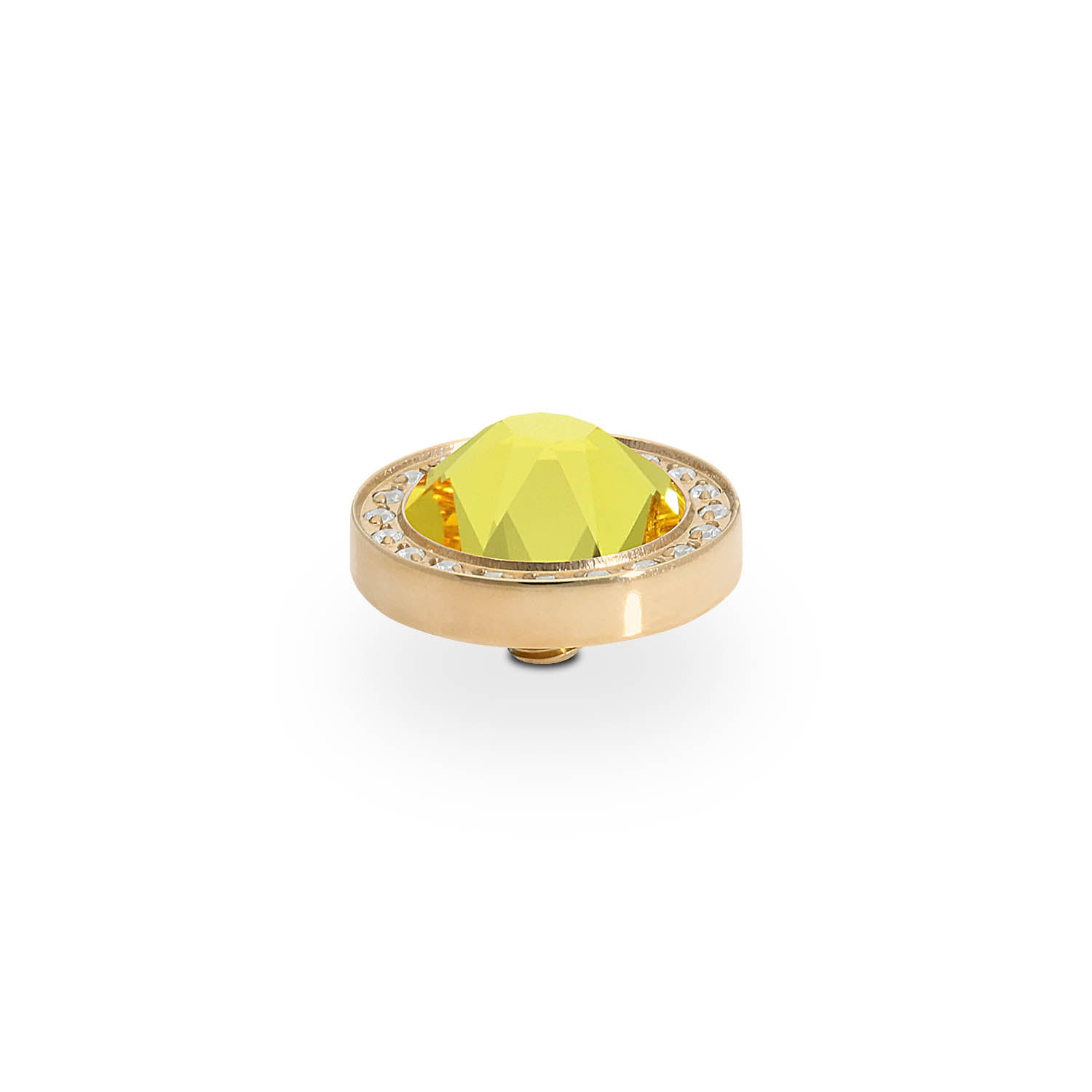 Canino Deluxe Top 10.5 mm - Gold light topaz