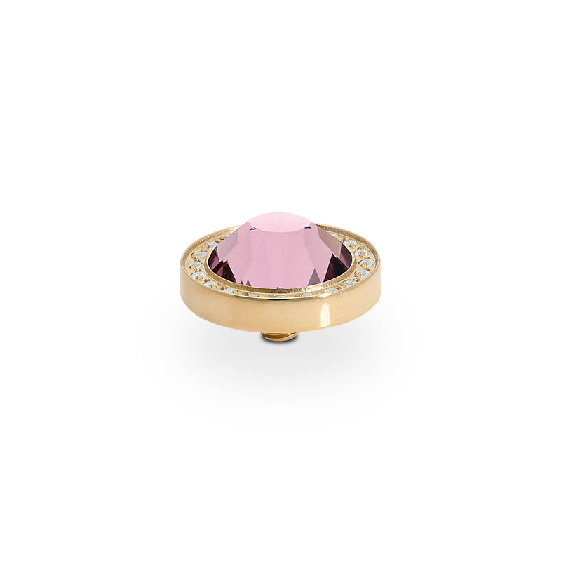 Canino Deluxe Top 10.5 mm - Gold light amethyst