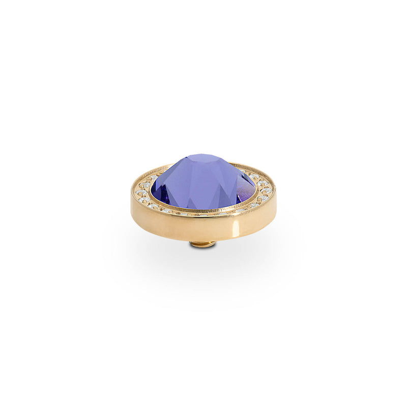 Canino Deluxe Top 10.5 mm - Gold tanzanite