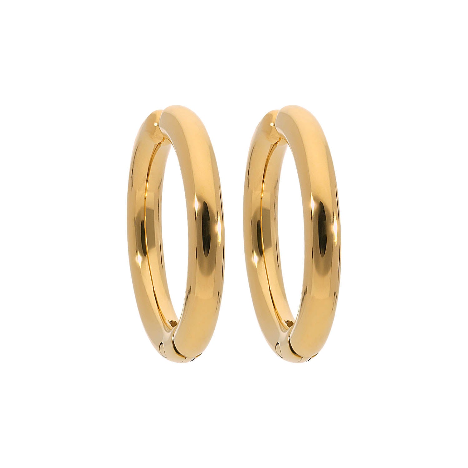 Sigillo Ear Clip