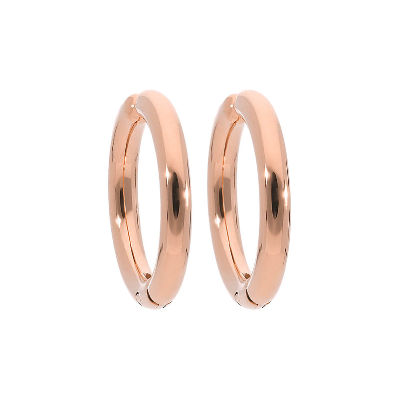 Sigillo Ear Clip
